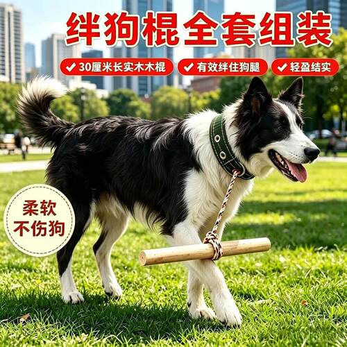 【绊狗棍】狗子限速器木棍牵引绳套装30cm实木训练专用柔软不伤狗