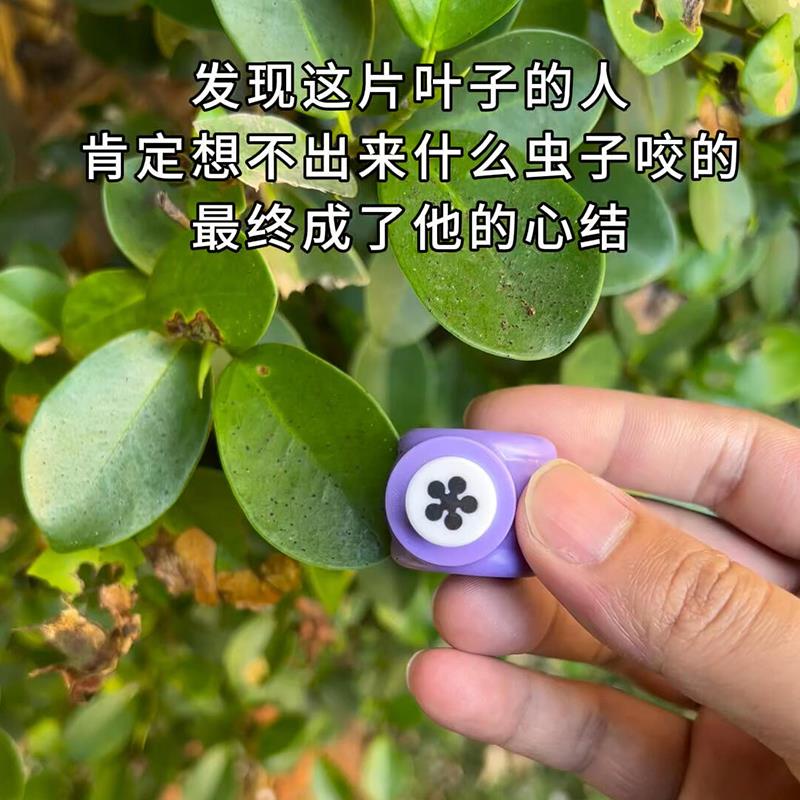 压花器印花机小号打孔压图器 创意幼儿园儿童手工diy制作材料包邮