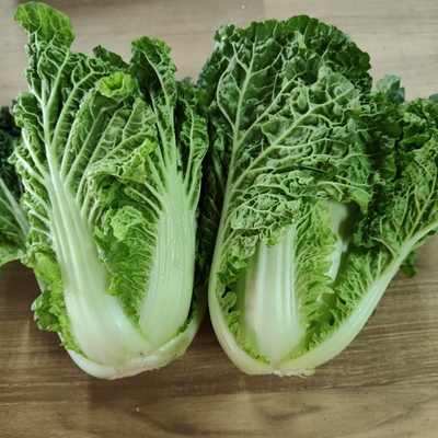 农家露天种植新鲜麻叶菜青大白菜