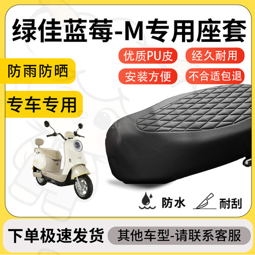 得着适用于绿佳蓝莓-M座套专用电动车坐垫防水加厚座垫套减震舒适