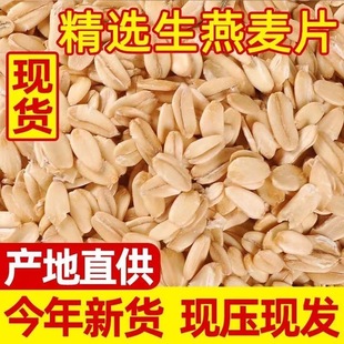 燕麦片生燕麦米2025年新米粗粮需煮生压仁官方旗舰店正品原味农家