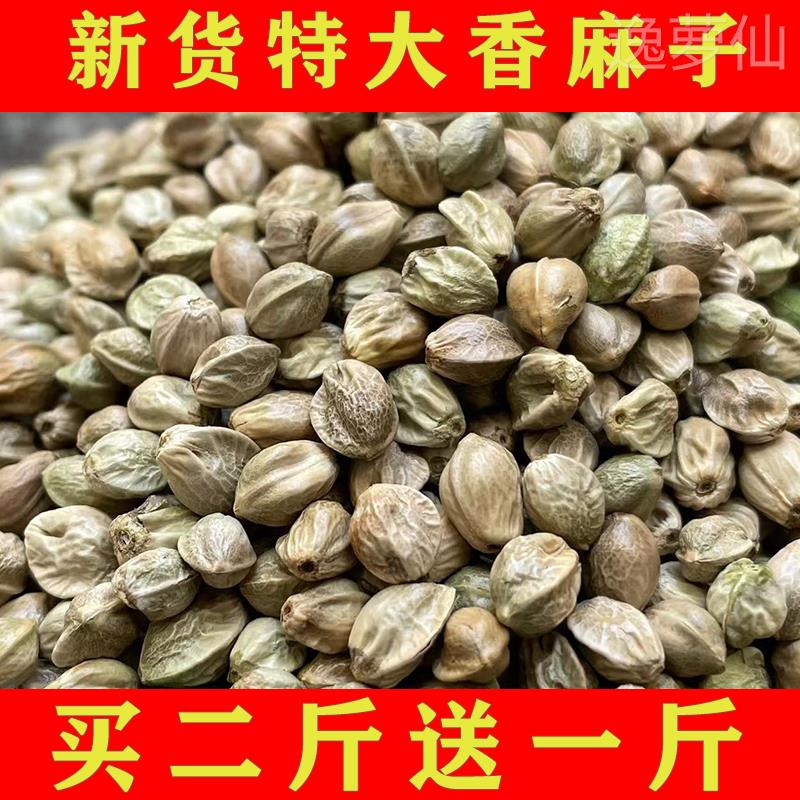 甘肃天水麻子大粒现炒五香生熟麻籽火麻子人吃食用500g买2送1 零食/坚果/特产 其它 原图主图