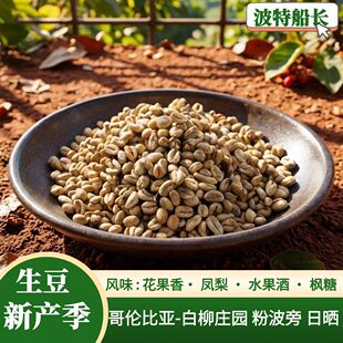 波特船长新产季2025哥伦比亚咖啡生豆-白柳庄园 粉波旁日晒花果香