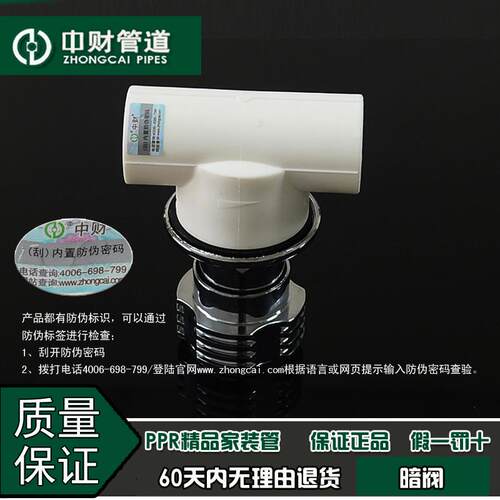 中财管道PPR冷热水管家分阀门分暗水管阀20/6装暗配件254装