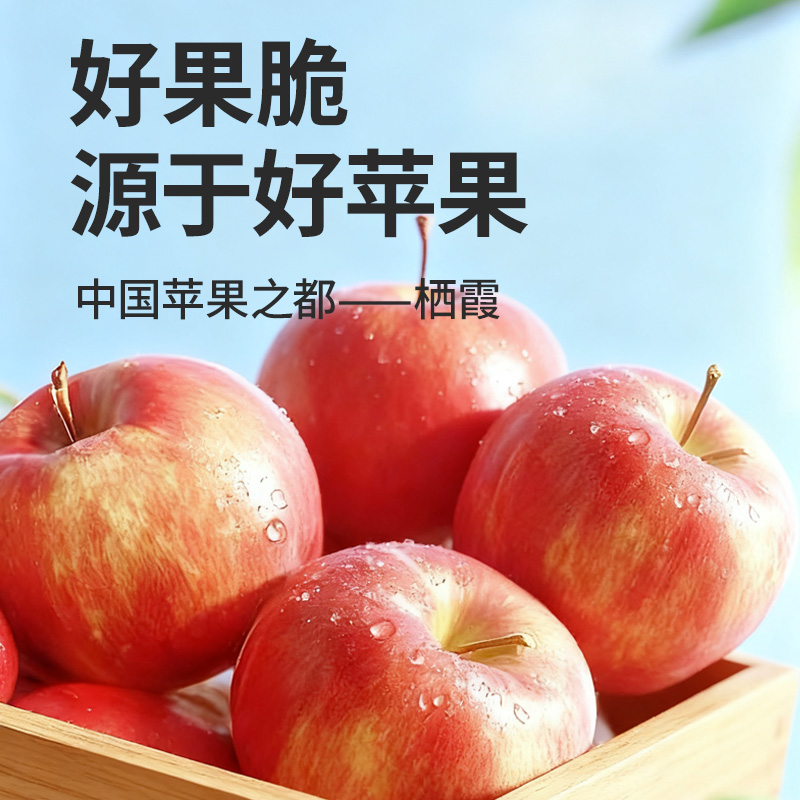 敏星脱皮苹果脆片非油炸儿童休闲小零食不加砂糖送宝宝婴儿食谱