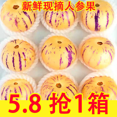 云南石林人参果水果5斤新鲜树上熟孕妇人生果圆果黄肉包邮整箱
