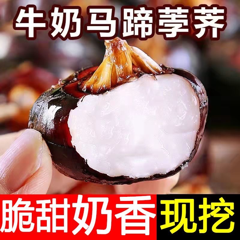 湖北新鲜马蹄5斤荸荠当季水果栗梨农家自种脆甜饽荠整箱