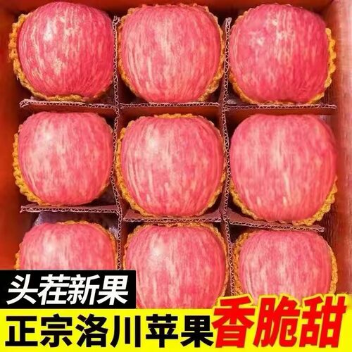 陕西洛川苹果水果新鲜9斤正宗当季红富士脆甜冰糖心整箱应季包邮