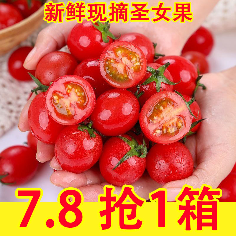 新鲜露天圣女果5斤小番茄新鲜水果当季自然熟蔬菜西红柿生吃千禧