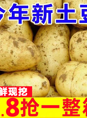 山东现挖土豆10斤新鲜包邮黄心黄皮新土豆农家蔬菜洋芋马铃薯5