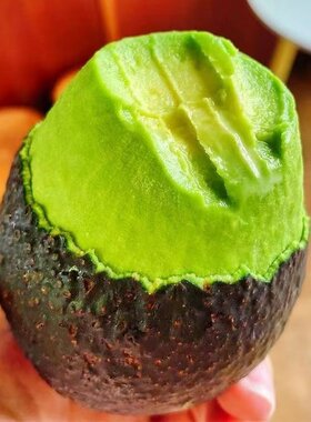 云南新鲜现摘牛油果10个小果装新鲜水果当季即食鳄梨小果水果