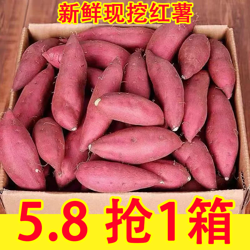 新鲜蜜薯9斤板栗红薯沙地糖心地瓜农家自种番薯现挖烟薯香薯山芋