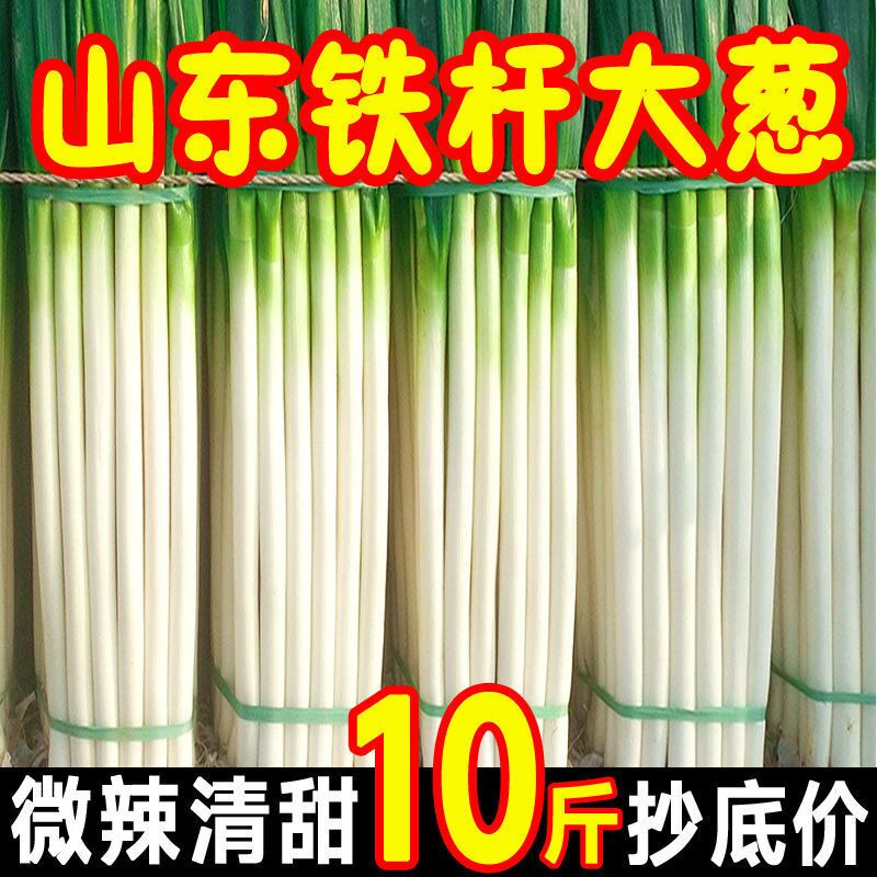 新鲜山东大葱9斤正宗特级甜脆章丘铁杆大葱特产蔬菜葱头