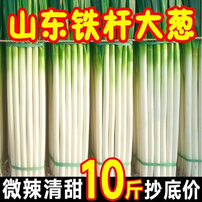 新鲜山东大葱9斤正宗特级甜脆章丘铁杆大葱特产蔬菜葱头