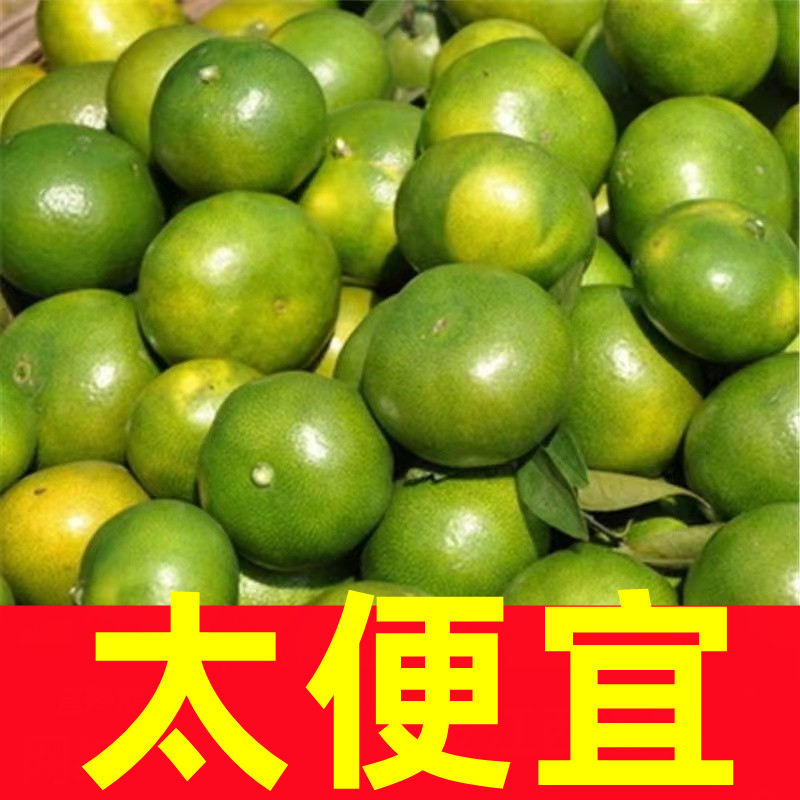 特早熟云南蜜桔橘子新鲜9斤水果当季青皮桔子孕妇酸甜蜜橘9