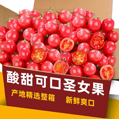 新鲜樱桃小番茄千禧果5斤小西红柿圣女果千禧小番茄新鲜水果