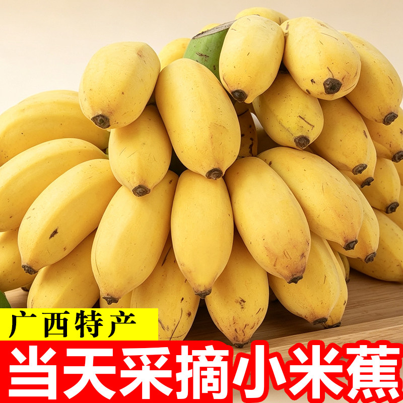 现摘广西小米蕉当季水果新鲜9斤自然熟banana苹果鲜香蕉芭蕉包邮9