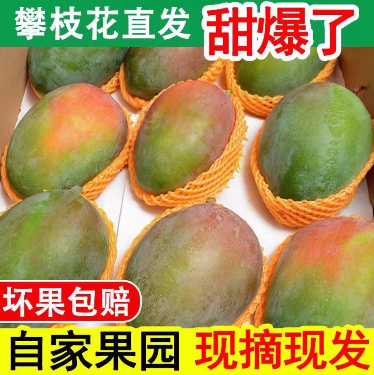 四川攀枝花青皮凯特芒果新鲜水果当季整箱特大凯特芒鲜果大芒果
