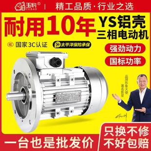 1.5 YS铝壳电机0.37 1.1 0.75 2.2KW三相异步马达380V全铜 0.55