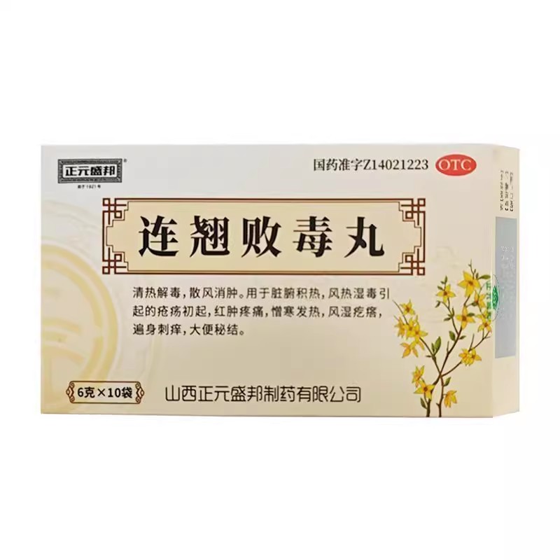 正元盛邦 连翘败毒丸 6g*10袋/盒