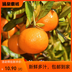 正宗临海涌泉蜜桔无核当季时令新鲜水果现摘现发10斤整箱