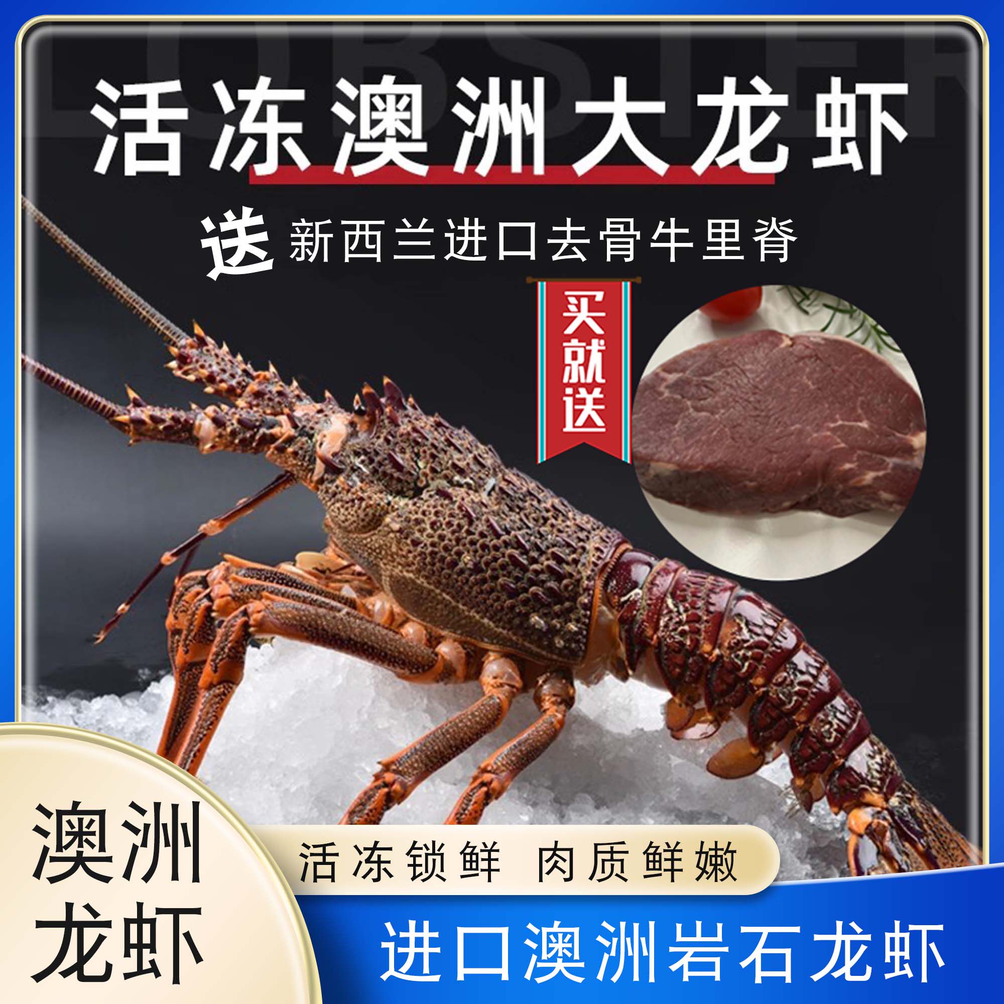 原装进口西澳龙虾澳洲大龙虾海捕鲜活冷冻澳龙500g/只1500g/3只