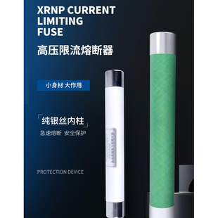 0.5 PT互感器保险丝熔丝管高压 XRNP1 3.15限流熔断器