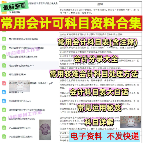 常用会计财务科目表科目详解大白话运用秘笈术语解释分录 非书籍