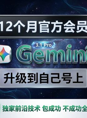 【Gemini3pro ！稳定不降智】Gemini pro 3/2.5 3.0 nano会员代充