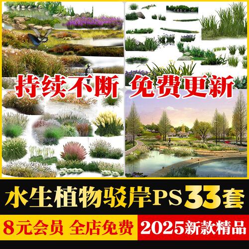 湿地公园水生植物石头驳岸芦苇滨水景观PS效果图后期psd免抠素材