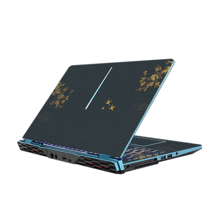 七彩虹隐星p15电脑p16pro贴纸2025将星x16pro笔记本iGame M15 Origo贴膜x17at x15at保护壳ta橘宝R16Pro MEOW