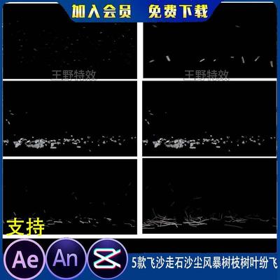 5款飞沙走石沙尘风暴树枝树叶纷飞沙雕动画灾难MOV透明AN特效素材