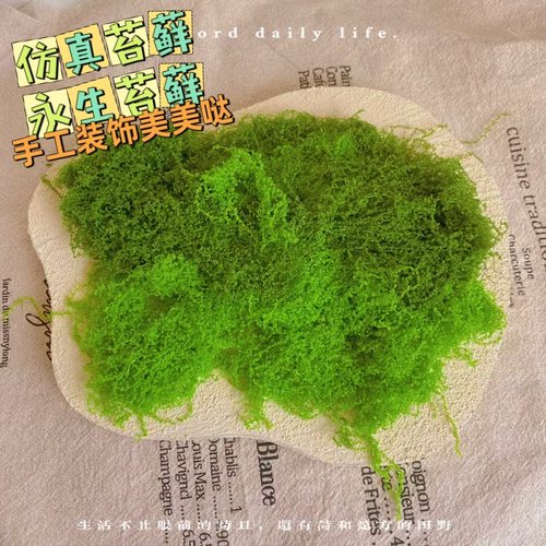 苔藓造景装饰森系微景观树皮diy材料娃屋场景道具手办配件材料