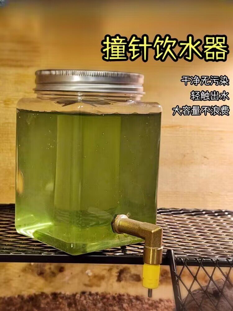 撞针式饮水器自动喂水横丝鸟笼玄凤虎皮八哥大号鸟专用喝水喂水器