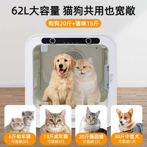 宠物烘干箱大功率全自动大功率烘干机猫宠物用狗狗智能烘干