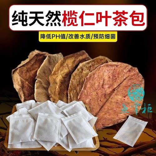 原生榄仁叶鱼缸懒人养水降PH值