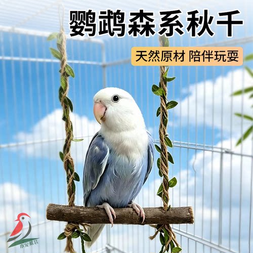 牡丹玄凤鹦鹉攀爬娱乐玩具