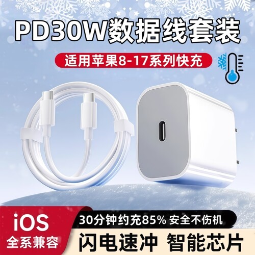 【原封正品】苹果8-17快充充电器