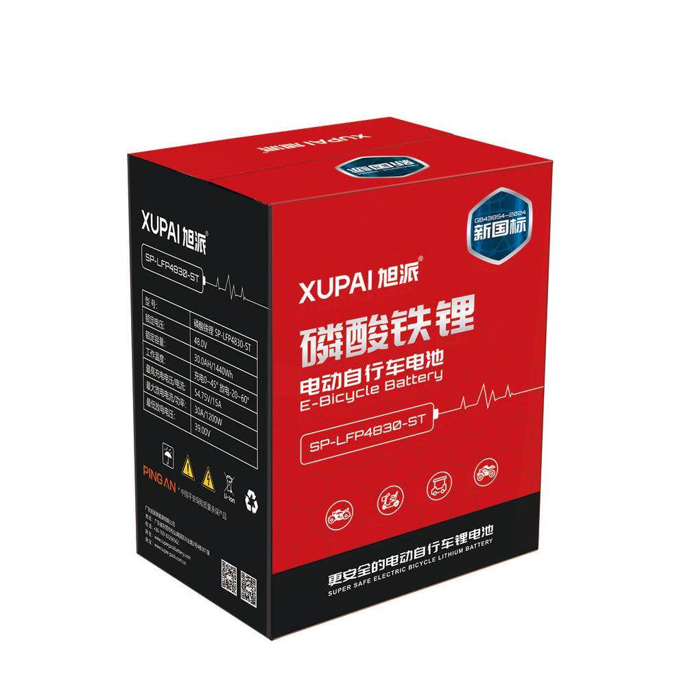 旭派 动力电池48V 6V 72V 磷酸铁锂 外卖 快递二轮三轮车专用电池