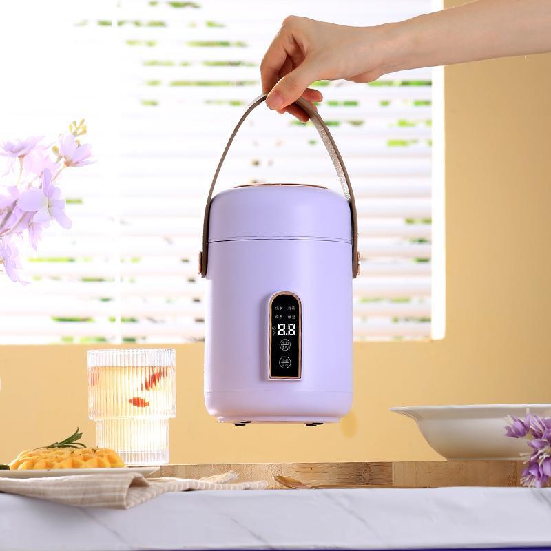 电炖锅迷你电热锅多功能学生宿舍小型家用智能电煮杯便携锅电煮锅