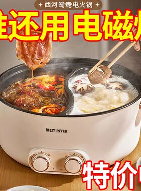 德国正品新款鸳鸯电火锅家用多功能一体式双控鸳鸯锅大功率电热锅
