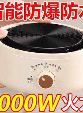 烧水泡茶炉德国迷你恒温电热炉