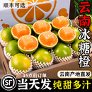 包邮 云南新鲜现摘冰糖橙哀牢山青皮手剥橙子当季 榨汁9斤水果整箱
