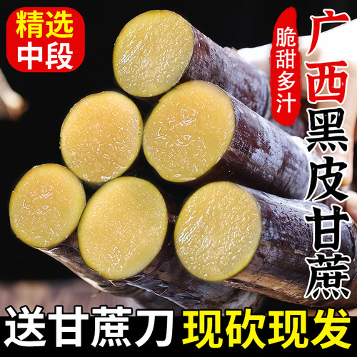 精选中段黑皮甘蔗，收藏加购优先发货！