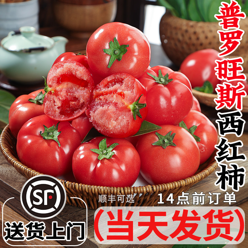 正宗普罗旺斯沙瓤西红柿新鲜自然熟当季孕妇水果生吃番茄蔬菜顺丰