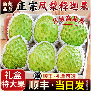 新鲜凤梨释迦果顺丰番荔枝大目牛奶佛头果林檎摩尼果水果新年礼盒
