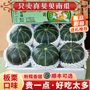 正宗贝贝南瓜板栗味粉糯甜宝宝辅食新鲜水果蔬菜整箱产地惠和一号