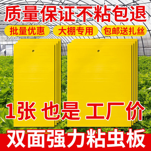 【升级款】黄板双面粘虫板蓟马纸贴黄蓝飞虫小黑飞果园沾果蝇诱捕