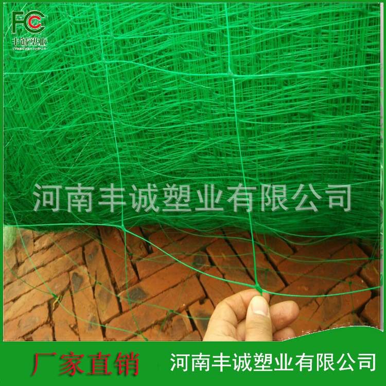 供应大卷爬藤网 豆角吊瓜网 黄瓜网 植物爬藤网 搭架子网图片