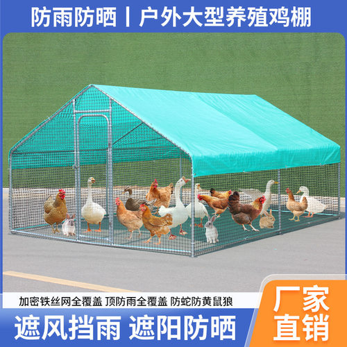 户外鸡棚鸡笼子养鸡鸭鸽笼家禽大型孔雀篷遮雨鸡舍搭建家用养殖笼
